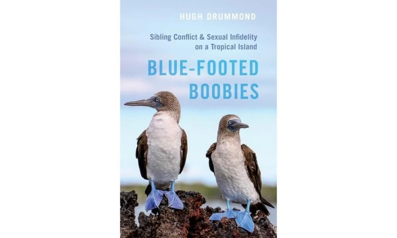 Blue-Footed Boobies: Sibling Conflict and Sexual Infidelity on a Tropical Island