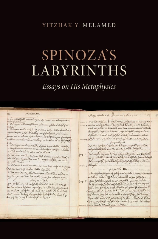 Spinoza's Labyrinths: Essays on His Metaphysics