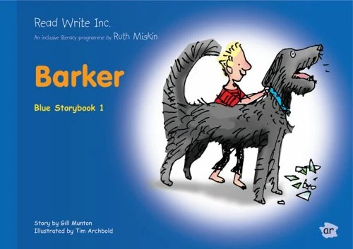 Read Write Inc.: Set 6 Blue: Colour Storybooks: Pack of 100 (10x10 titles)