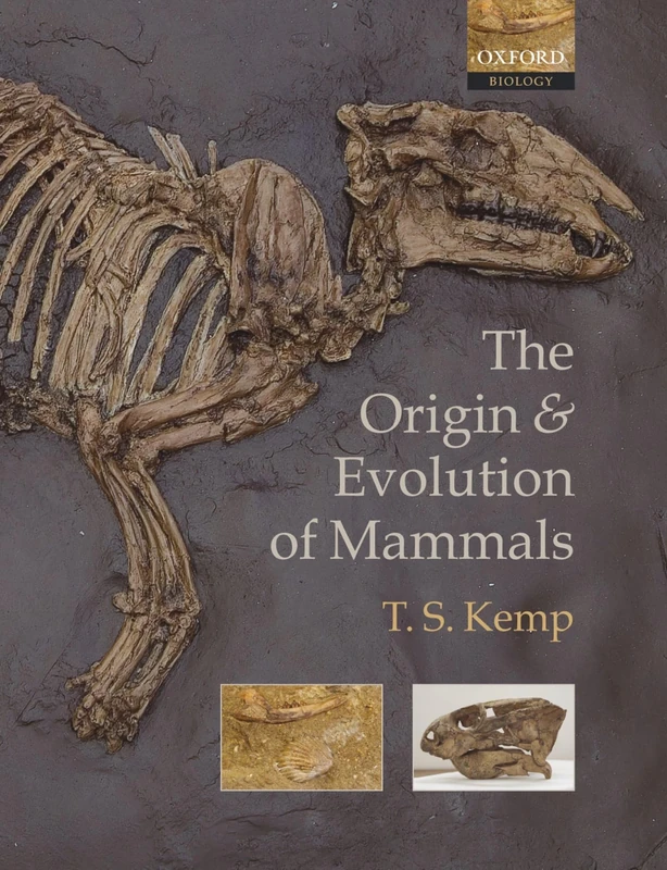 KEMP:ORIGIN & EVOLUTION OF MAMMALS PAPER