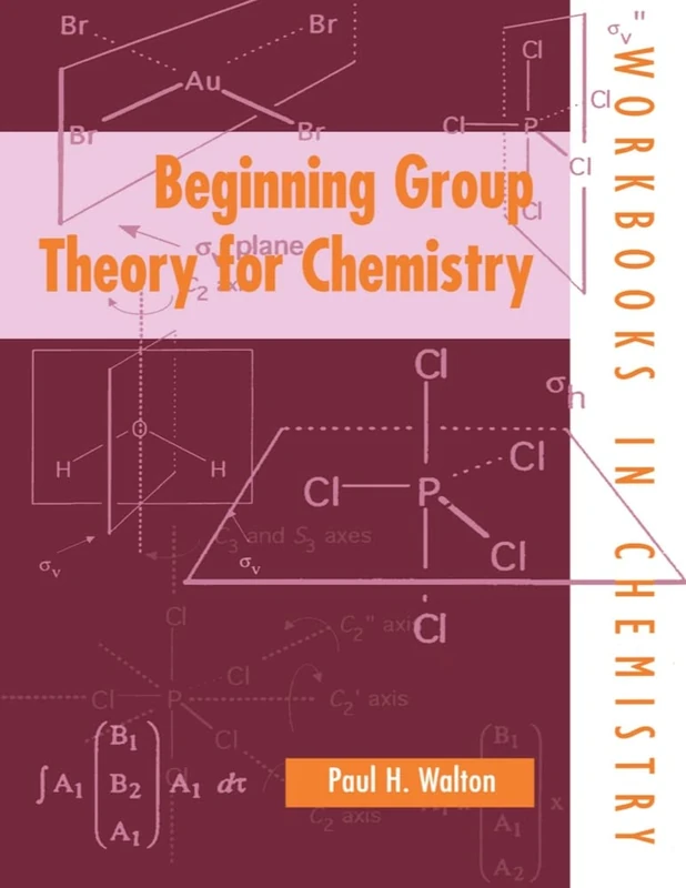 Beginning Group Theory For Chemistry (Workbooks in Chemistry)