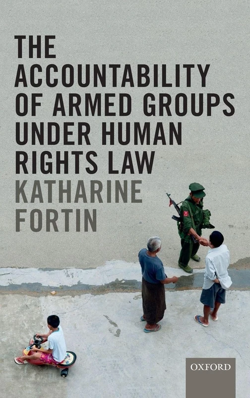 The Accountability of Armed Groups under Human Rights Law
