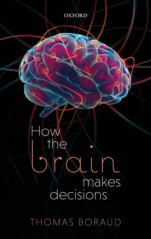 How the Brain Makes Decisions - Image 1