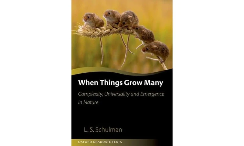When Things Grow Many: Complexity, Universality and Emergence in Nature (Oxford Graduate Texts)