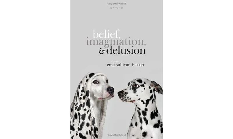 Belief, Imagination, and Delusion (Mind Association Occasional Series)