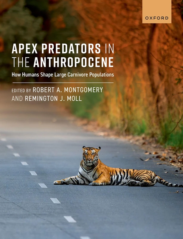 Apex Predators in the Anthropocene: How Humans Shape Large Carnivore Populations