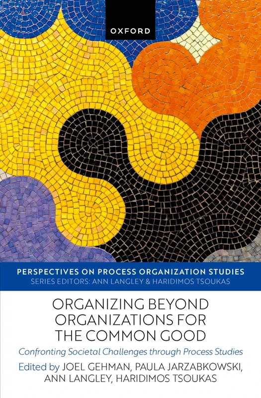 Organizing beyond Organizations for the Common Good: Confronting Societal Challenges through Process Studies: 12 (Perspectives on Process Organization Studies)