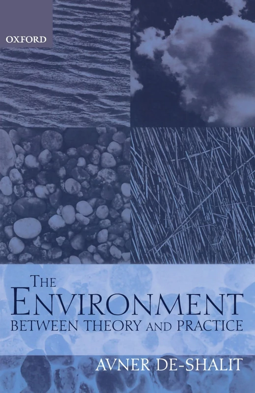 The Environment: Between Theory and Practice - Image 1