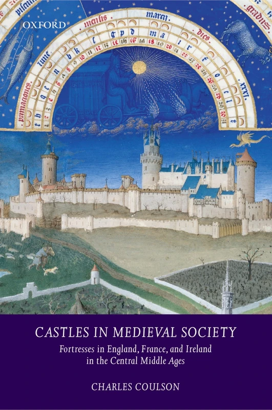 Castles in Medieval Society: Fortresses in England, France, and Ireland in the Central Middle Ages