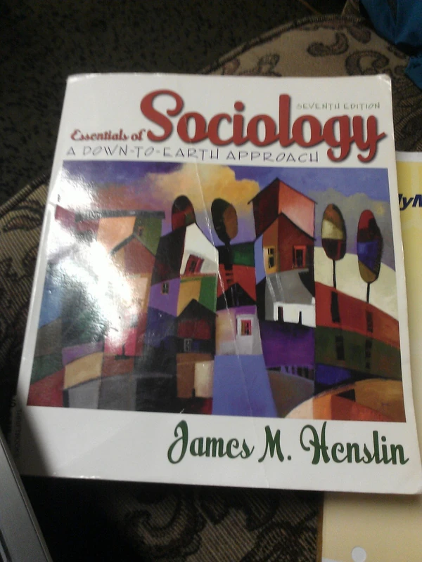 Essentials of Sociology: A Down-to-Earth Approach