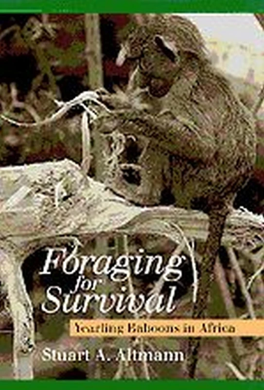 Foraging for Survival – Yearling Baboons in Africa