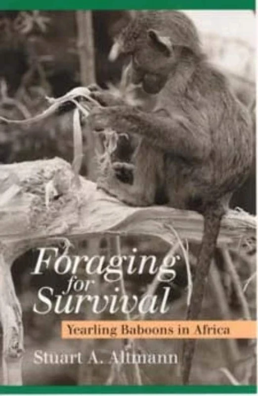 Foraging for Survival – Yearling Baboons in Africa