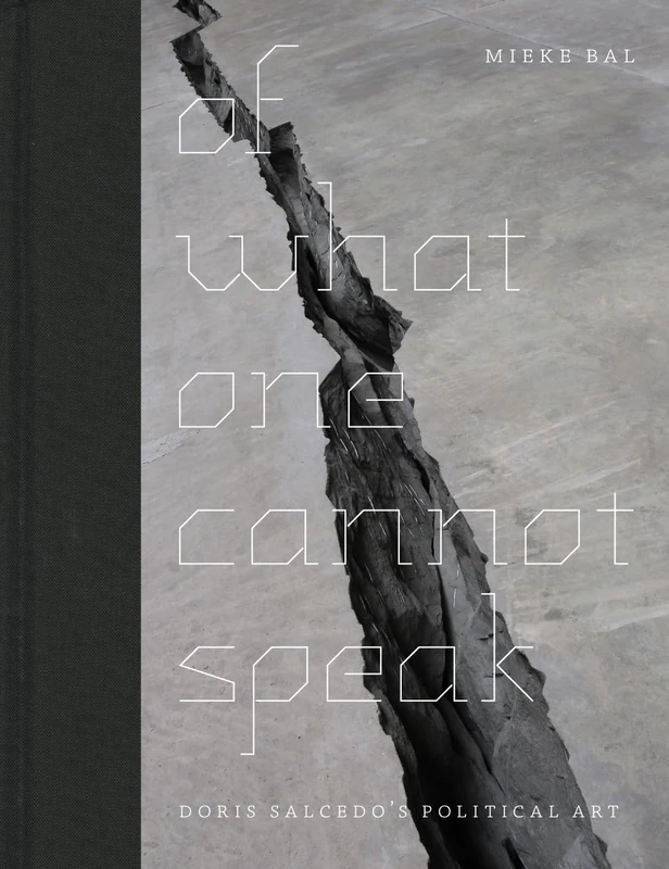 Of What One Cannot Speak – Doris Salcedo′s Political Art (Emersion: Emergent Village resources for communities of faith)