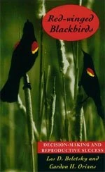 Red–Winged Blackbirds – Decision–Making & Reproductive Success