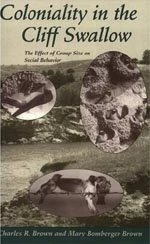 Coloniality in the Cliff Swallow – The Effect of Group Size on Social Behavior