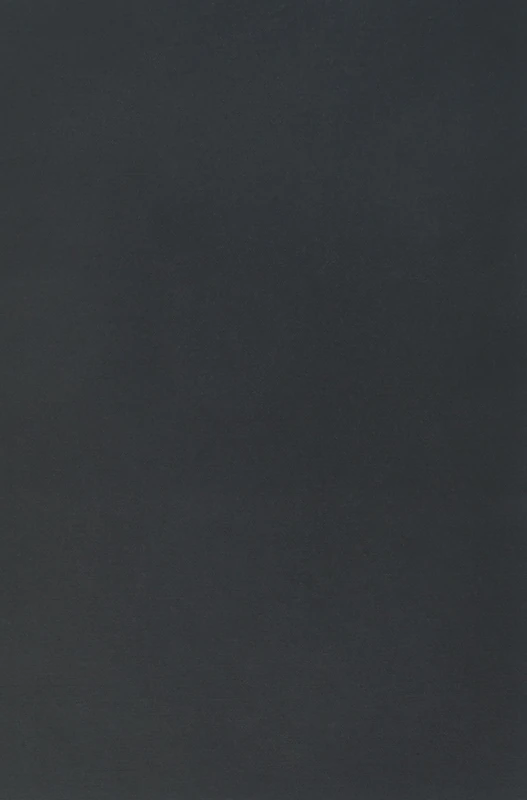 Foundations of Macroecology: Classic Papers with Commentaries