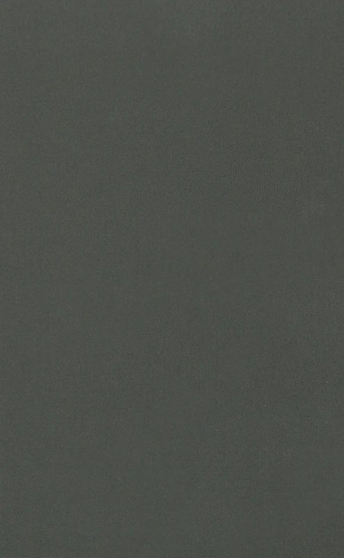 Who Governs? – Presidents, Public Opinion, and Manipulation (Chicago Studies in American Politics)