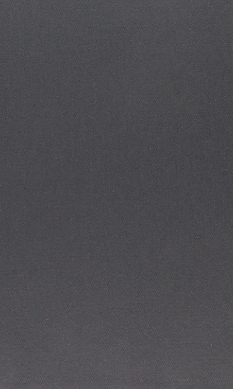 Tourist Attractions – Performing Race and Masculinity in Brazil`s Sexual Economy (Emersion: Emergent Village resources for communities of faith)