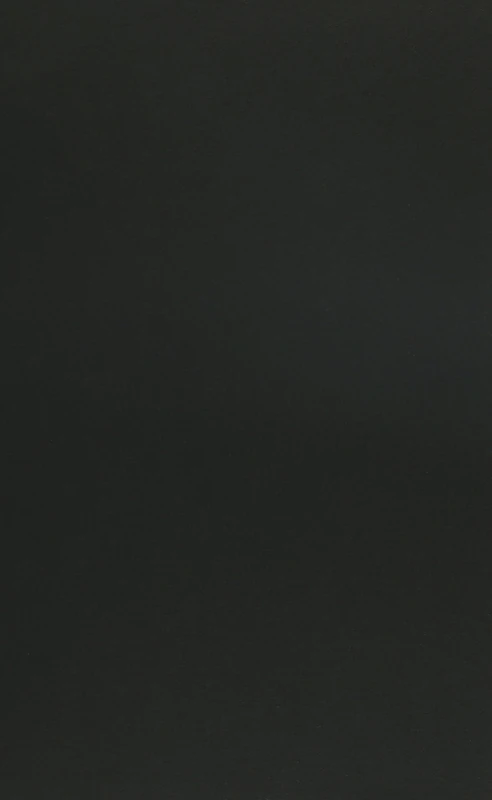 Insecure Majorities – Congress and the Perpetual Campaign