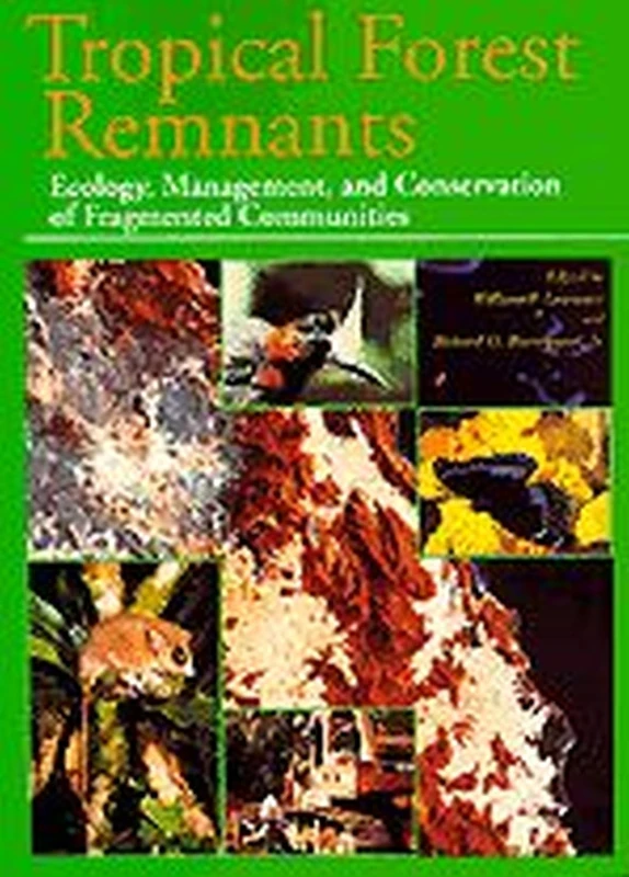 Tropical Forest Remnants – Ecology, Management, & Conservation of Fragmented Communities (Paper)