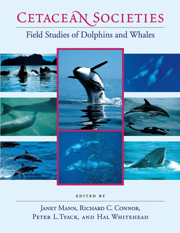 Cetacean Societies – Field Studies of Dolphins & Whales