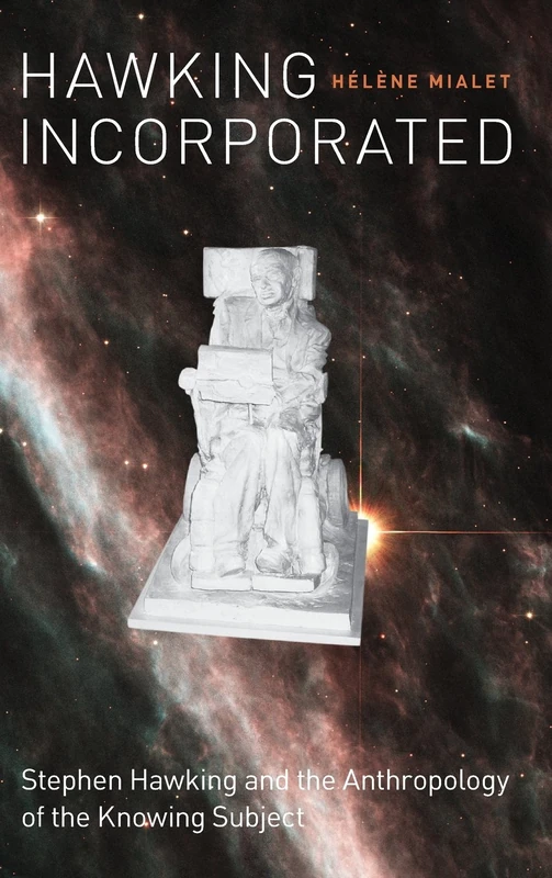 Hawking Incorporated – Stephen Hawking and the Anthropology of the Knowing Subject - Image 1
