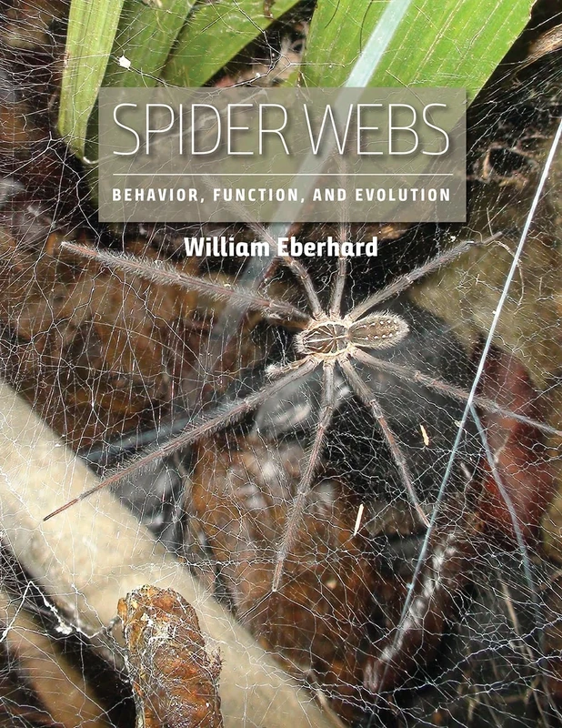 Spider Webs – Behavior, Function, and Evolution