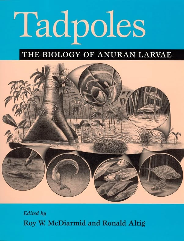 Tadpoles – The Biology of Anuran Larvae - Image 1