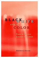 Black, White & in Color – Essays on American Literature & Culture