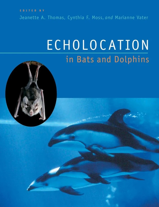 Echolocation in Bats and Dolphins