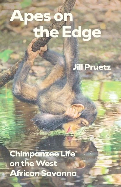 Apes on the Edge: Chimpanzee Life on the West African Savanna (Animal Lives)