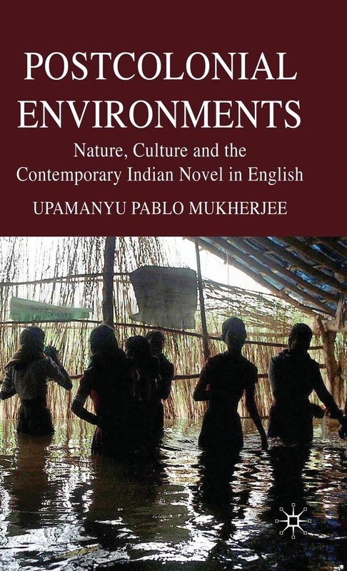 Macmillan Postcolonial Environments - Indian Novel in English