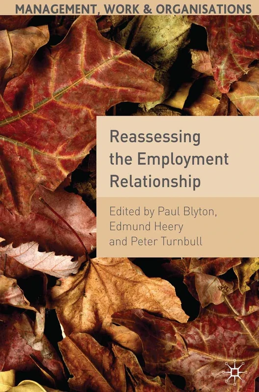 Reassessing the Employment Relationship: Examining Work, Employment and Human Resource Management: 8 (Management, Work and Organisations)