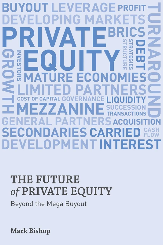 The Future of Private Equity: Beyond the Mega Buyout - Image 1