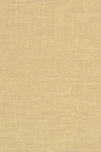 The Genius Figure in Antiquity & the Middle Ages