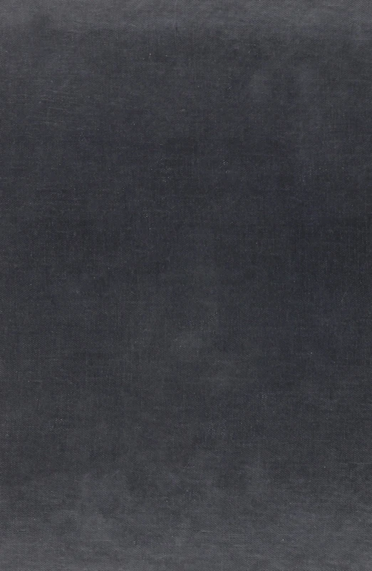 Marki: The Trial Of The Poet (cloth): Interpretation of the First Edition of "Leaves of Grass" - Image 1