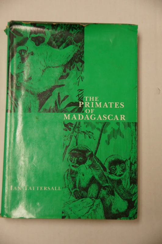 Tattersall: Primates Of Madagascar (cloth)