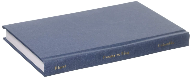 Japanese and Chinese Poems to Sing – The Wakan Roei Shu (Translations from the Asian Classics (Hardcover))