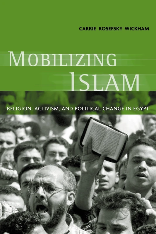 Mobilizing Islam – Religion, Activism & Political Change in Egypt - Image 1