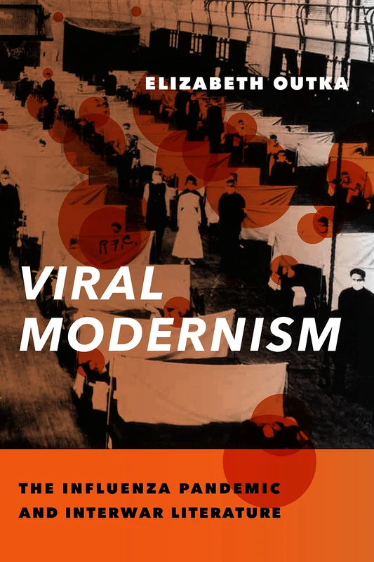 Viral Modernism – The Influenza Pandemic and Interwar Literature (Modernist Latitudes) - Image 1