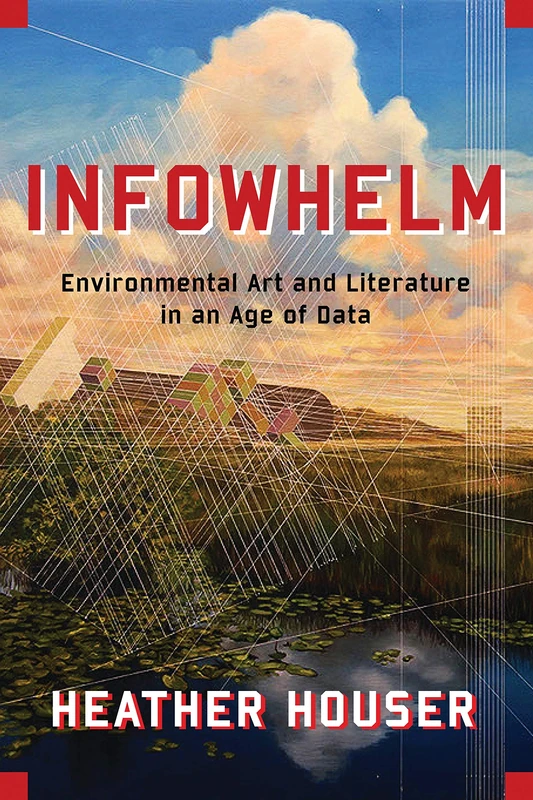 Infowhelm: Environmental Art and Literature in an Age of Data (Literature Now)