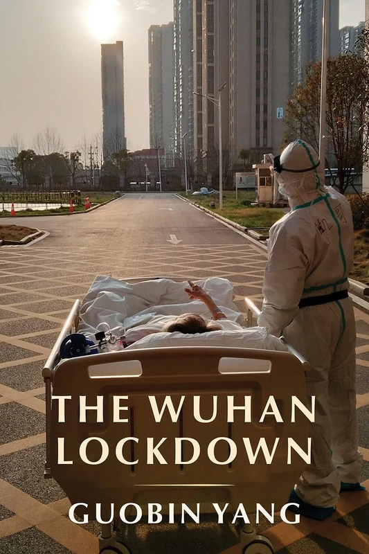 The Wuhan Lockdown - Image 1