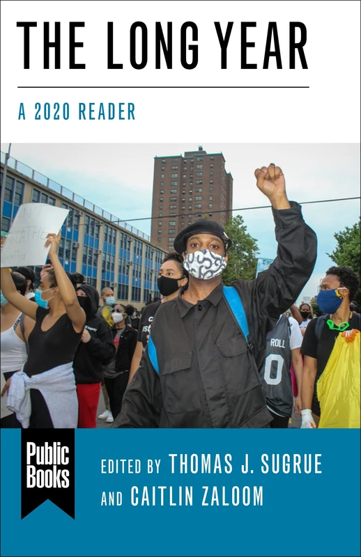 The Long Year: A 2020 Reader (Public Books Series)