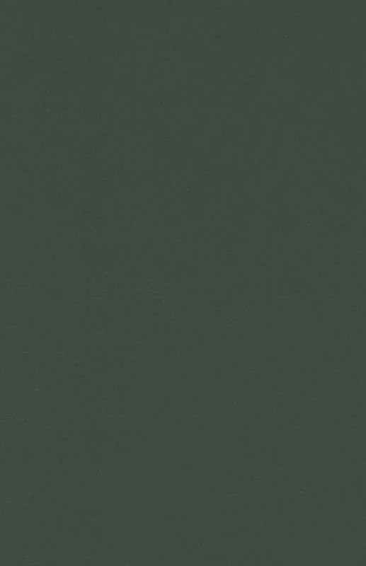 Talking with Television: Women, Talk Shows, and Modern Self-Reflexivity (Feminist Studies and Media Culture)