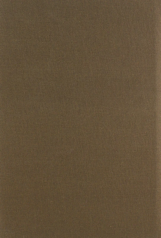 Illegal: Reflections of an Undocumented Immigrant (Latinos in Chicago and Midwest)