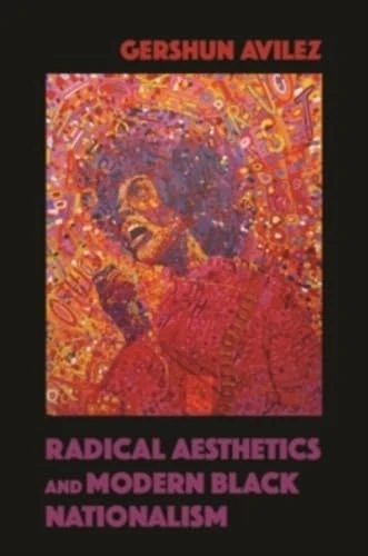 Radical Aesthetics and Modern Black Nationalism (New Black Studies Series)