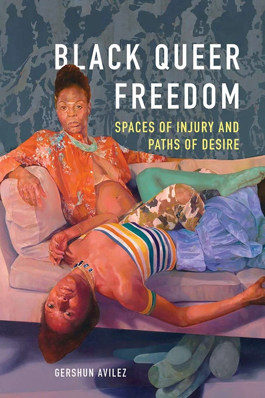 Black Queer Freedom: Spaces of Injury and Paths of Desire (New Black Studies Series) - Image 1