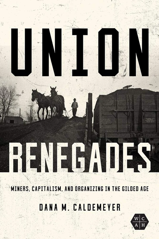 Union Renegades: Miners, Capitalism, and Organizing in the Gilded Age (Working Class in American History) - Image 1