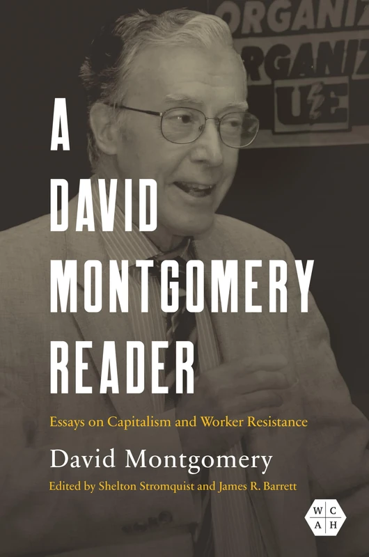 A David Montgomery Reader: Essays on Capitalism and Worker Resistance (Working Class in American History)
