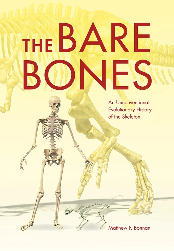 The Bare Bones: An Unconventional Evolutionary History of the Skeleton (Life of the Past) - Image 1
